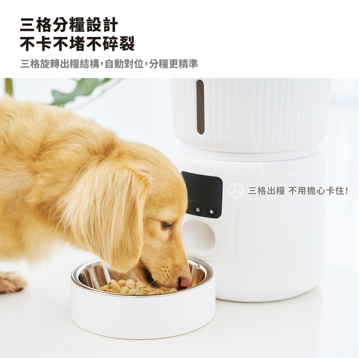 正負零 | XDF-KP20 寵物餵食器