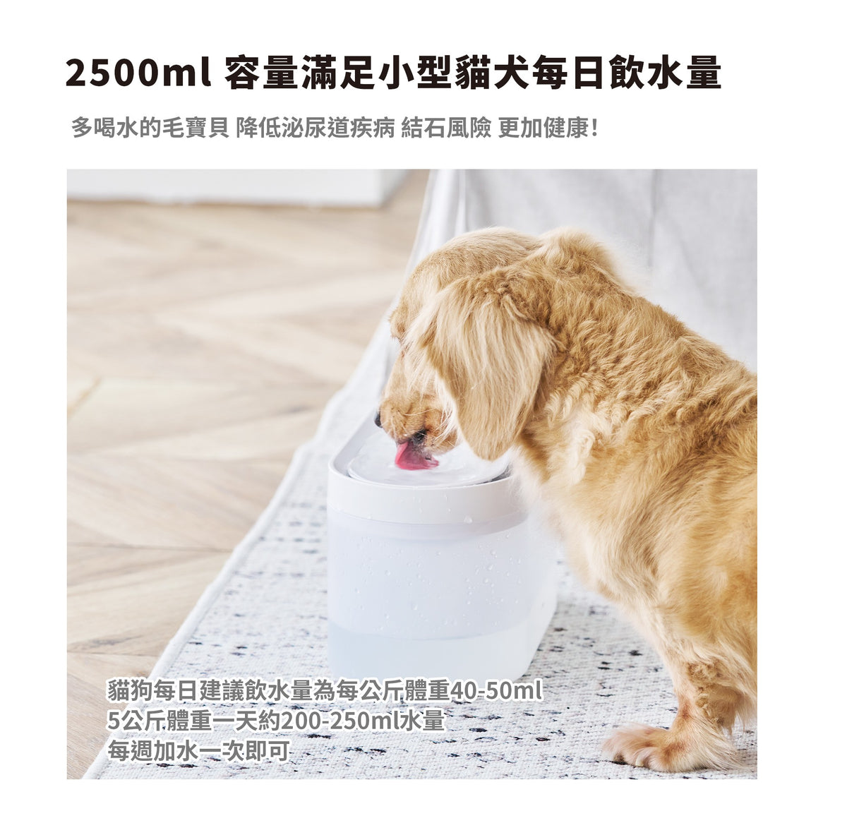 正負零 | XDF-KP30 寵物飲水機